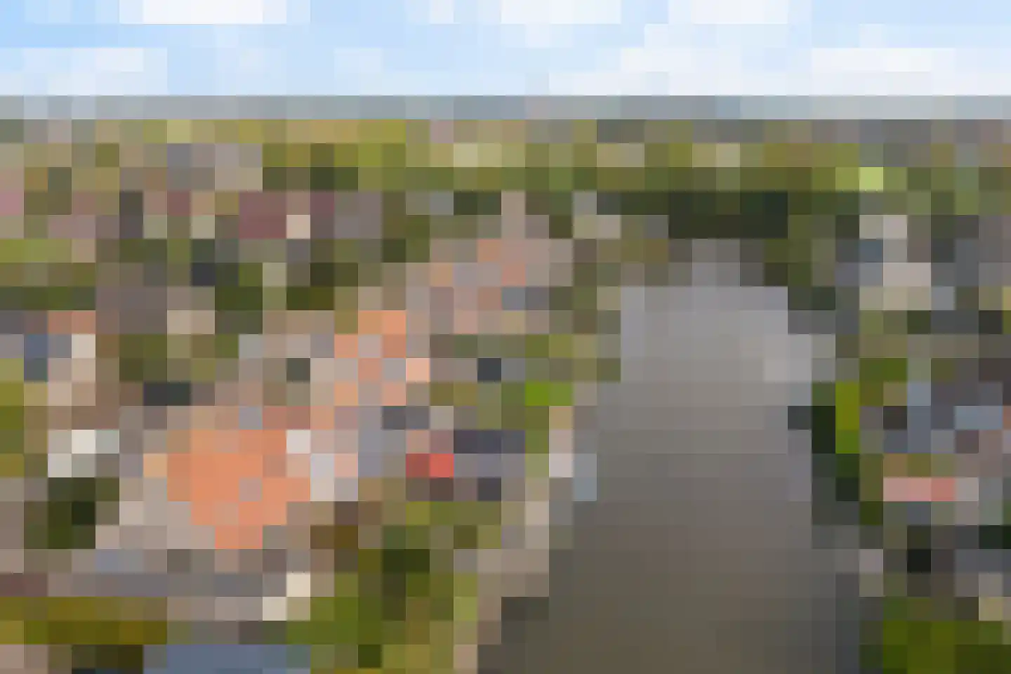 Ondersmastate 37 Hallum thumbnail 52