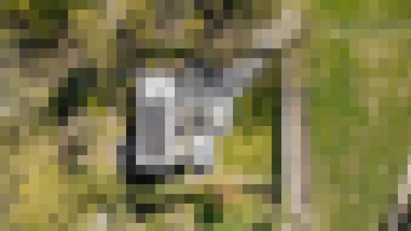 Onderstal 30 Hoogerheide thumbnail 51