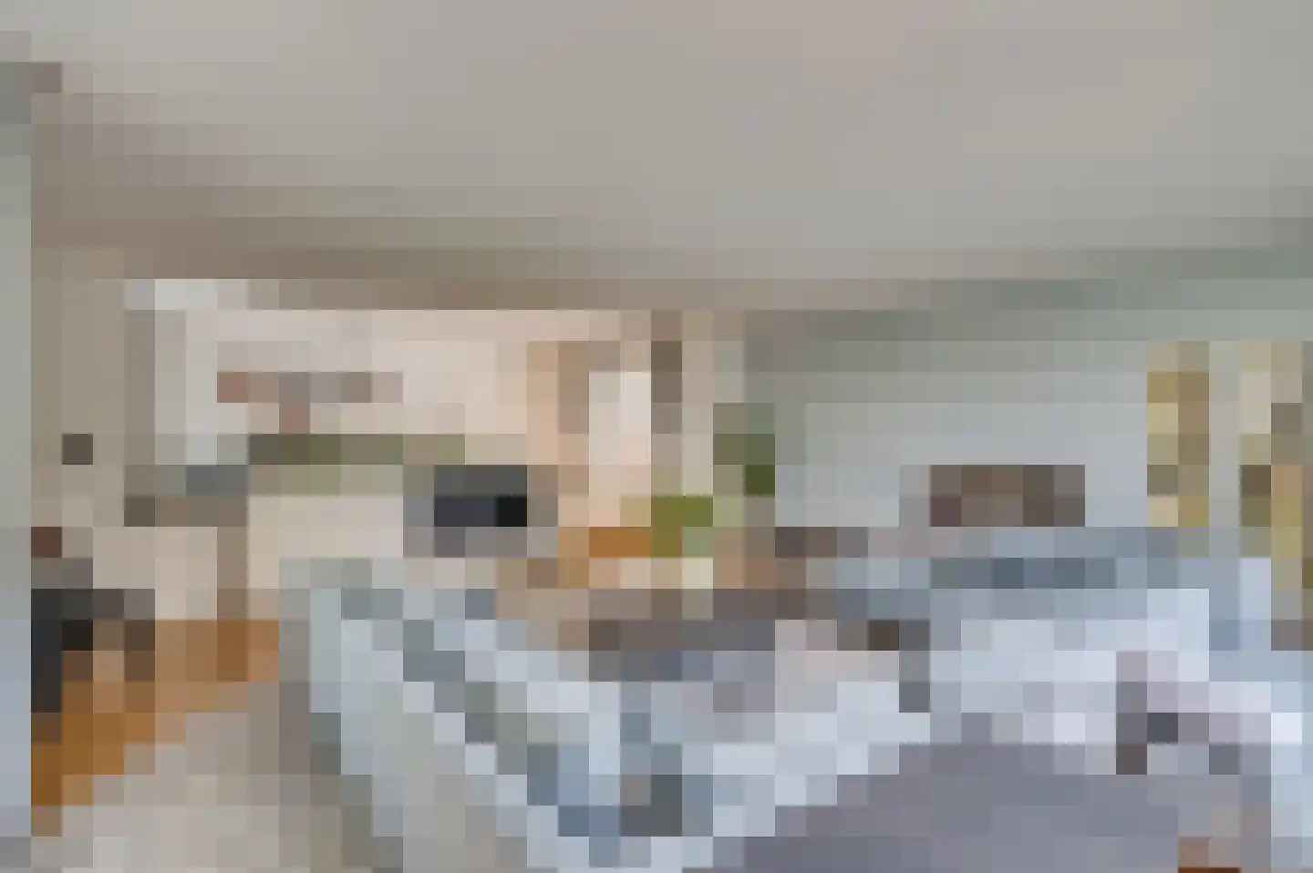 Onderste Molenweg 100 Venlo thumbnail 12