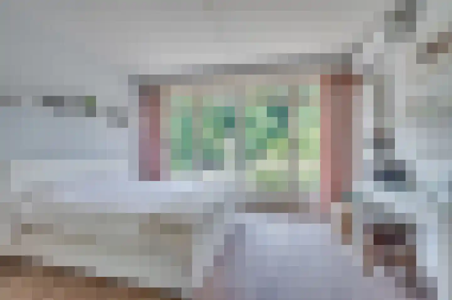 Onderste Molenweg 100 Venlo thumbnail 30