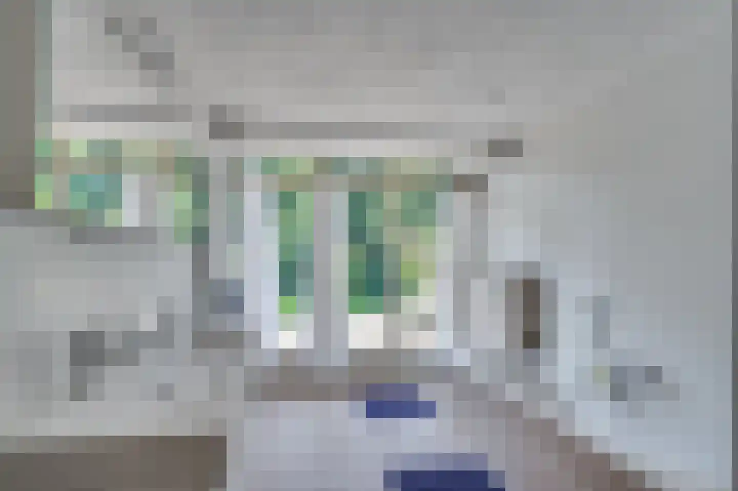 Onderste Molenweg 100 Venlo thumbnail 32