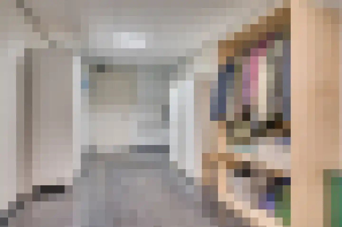 Onderste Molenweg 100 Venlo thumbnail 37