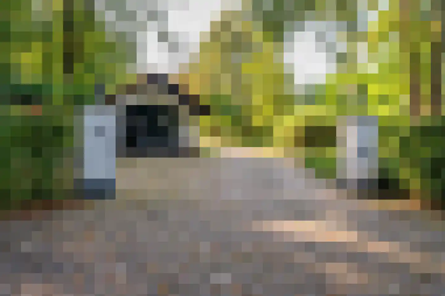 Onderste Molenweg 100 Venlo thumbnail 43