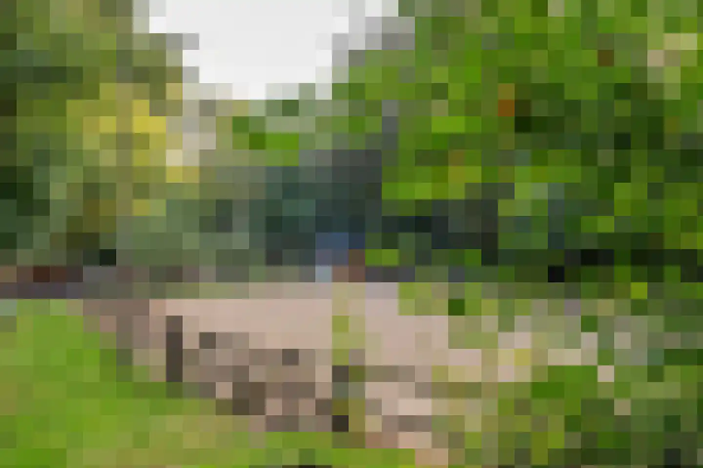 Onderste Molenweg 100 Venlo thumbnail 48
