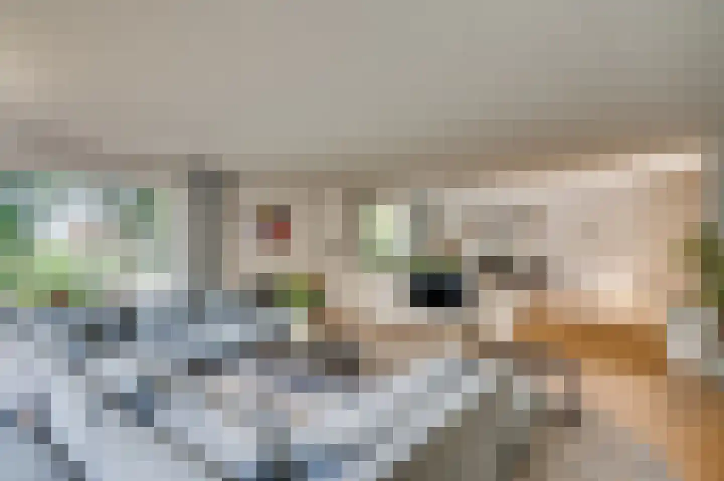 Onderste Molenweg 100 Venlo thumbnail 9