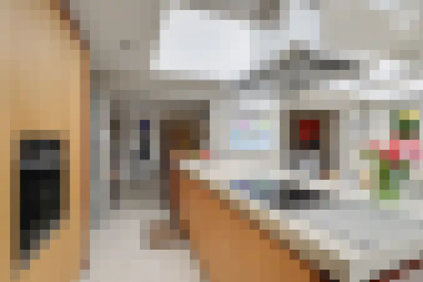 Onderste Molenweg 51 Venlo thumbnail 13