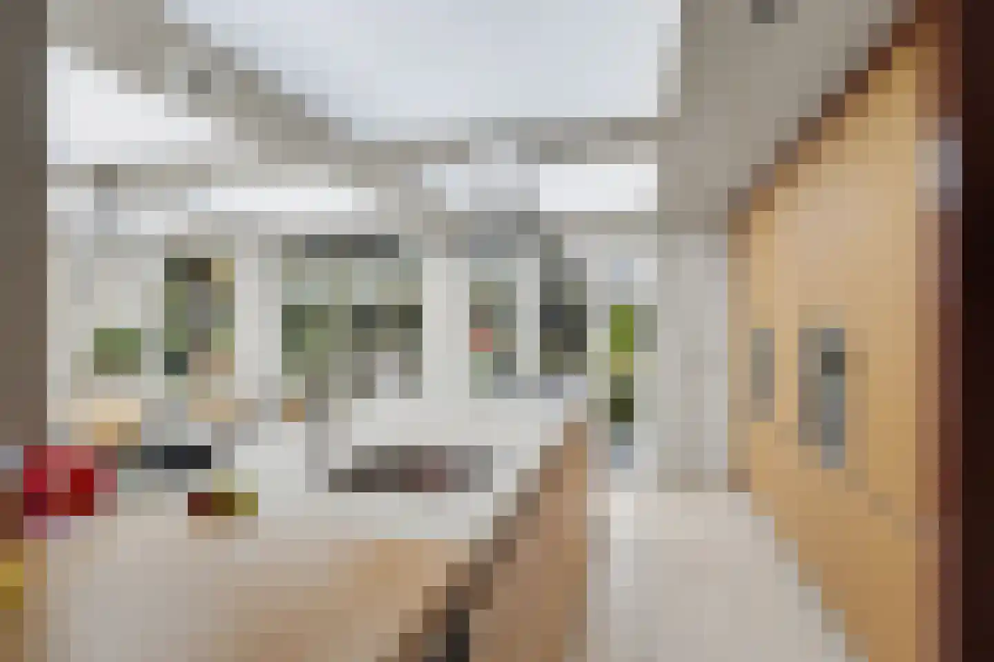 Onderste Molenweg 51 Venlo thumbnail 14
