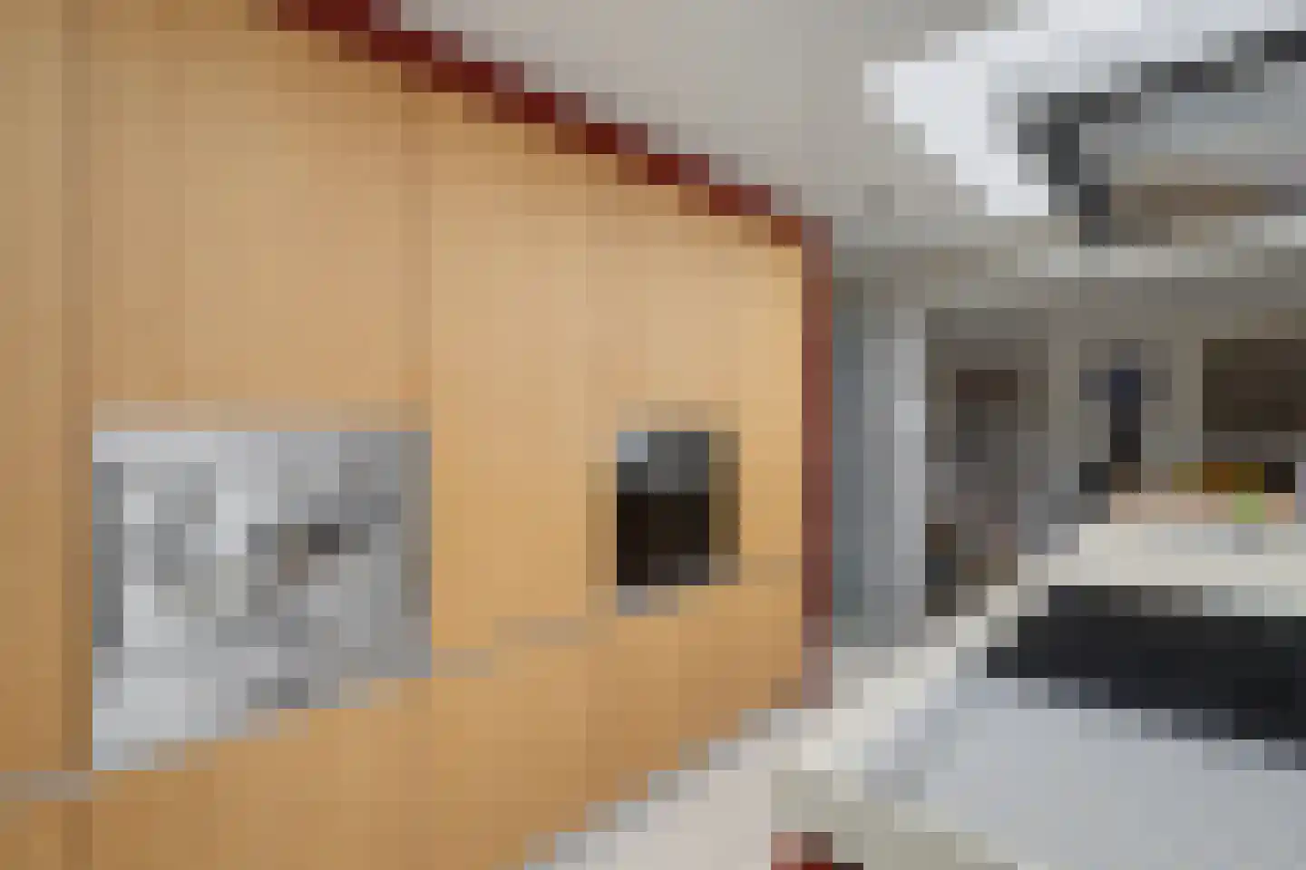 Onderste Molenweg 51 Venlo thumbnail 15
