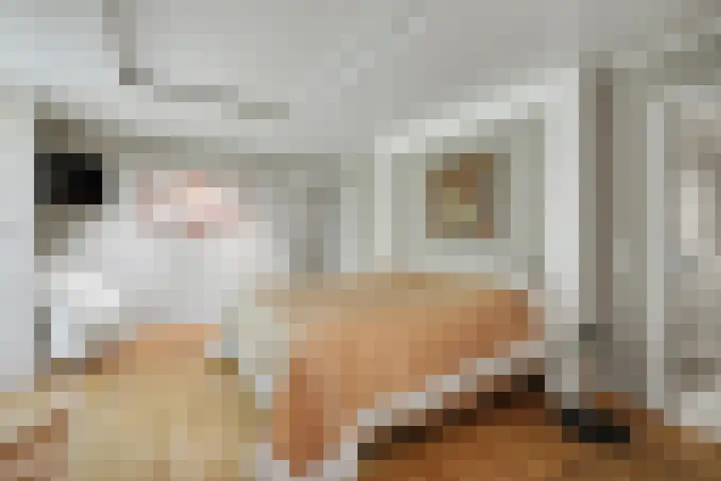 Onderste Molenweg 51 Venlo thumbnail 16