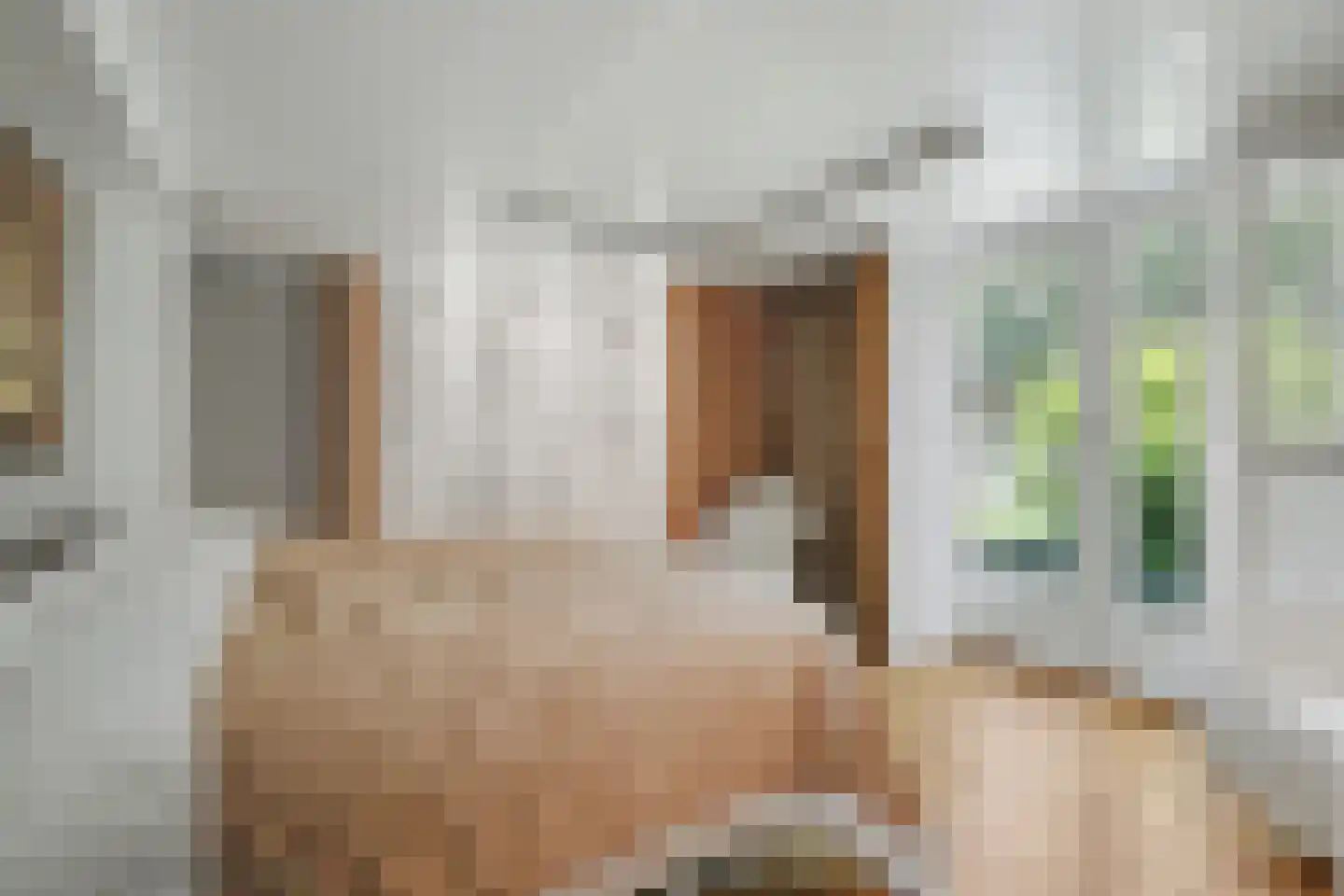 Onderste Molenweg 51 Venlo thumbnail 17