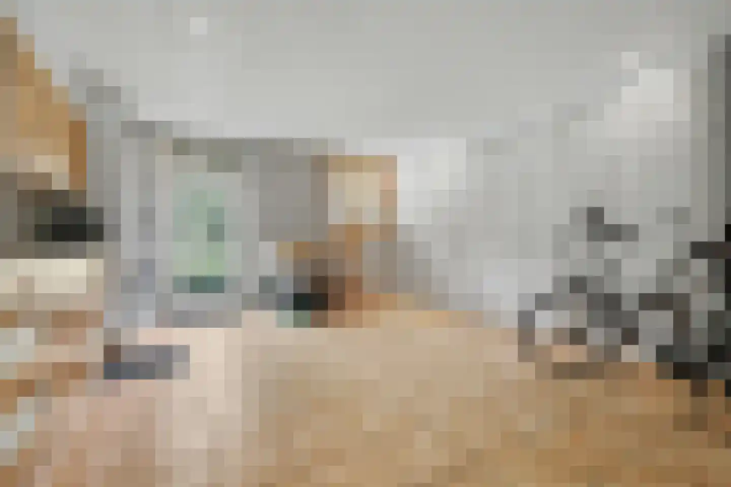 Onderste Molenweg 51 Venlo thumbnail 23