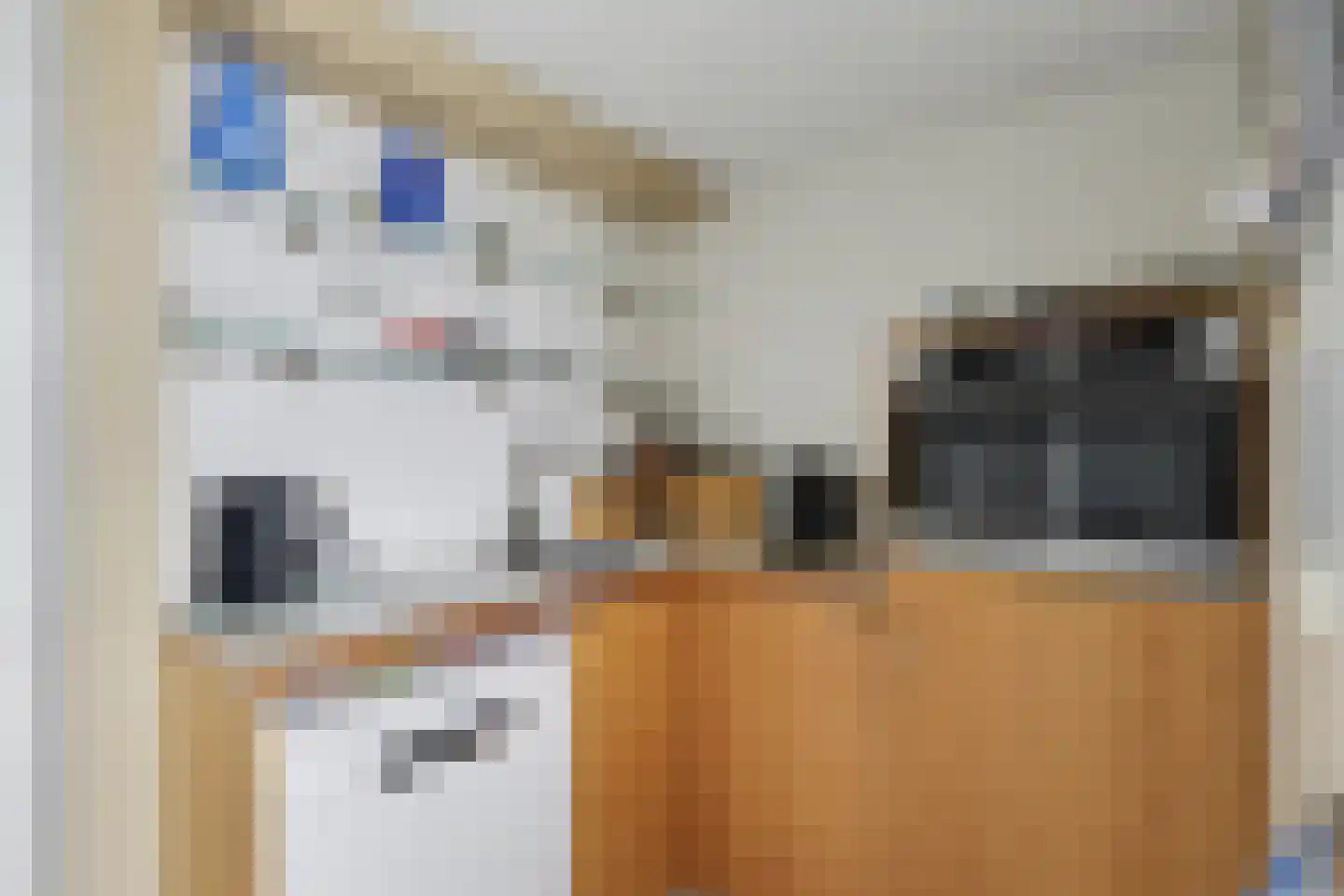 Onderste Molenweg 51 Venlo thumbnail 24