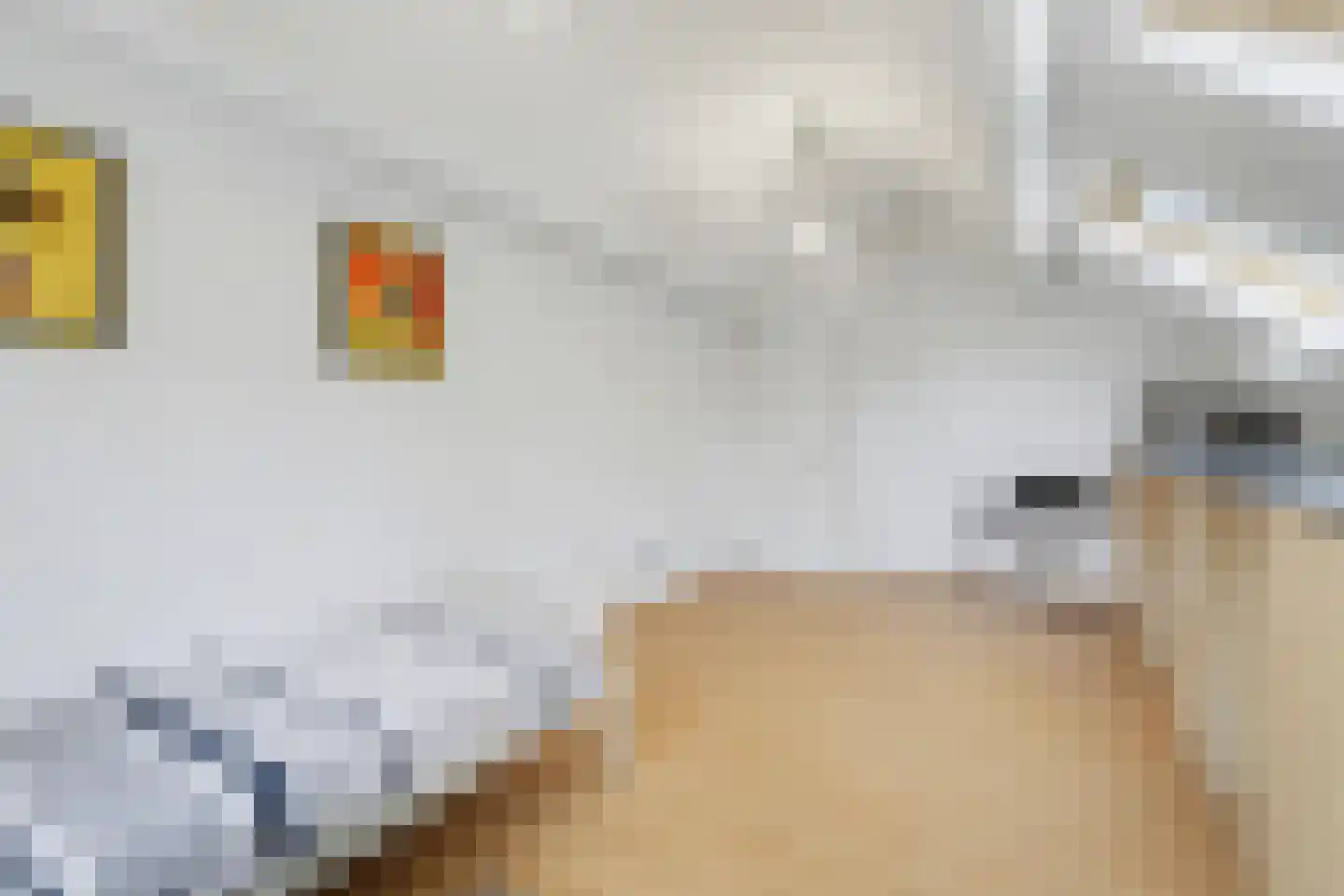 Onderste Molenweg 51 Venlo thumbnail 26