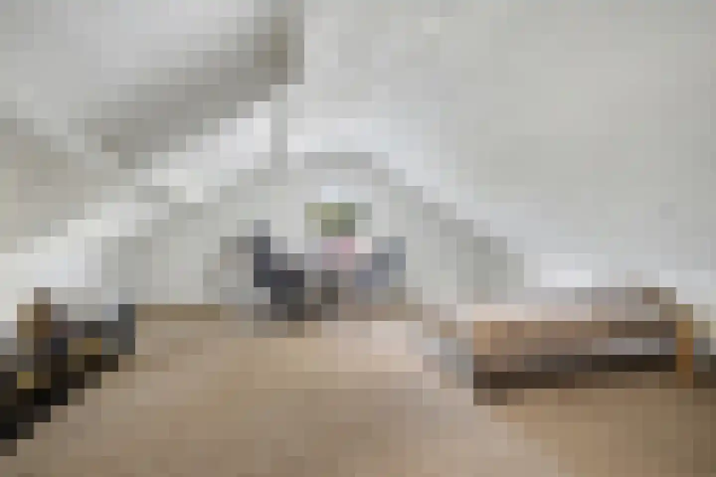 Onderste Molenweg 51 Venlo thumbnail 27
