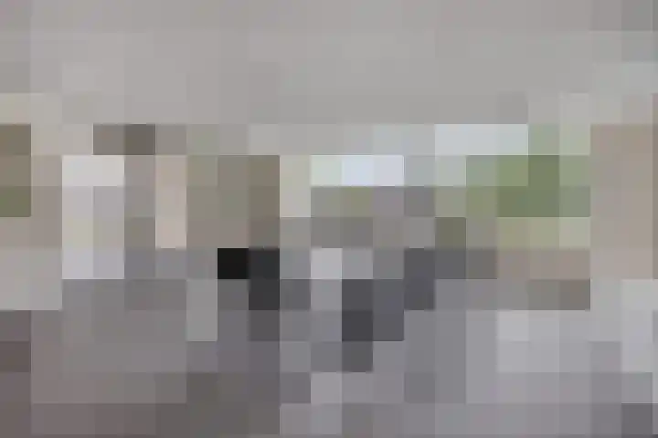 Onderste Scheydt 172 Landgraaf thumbnail 30