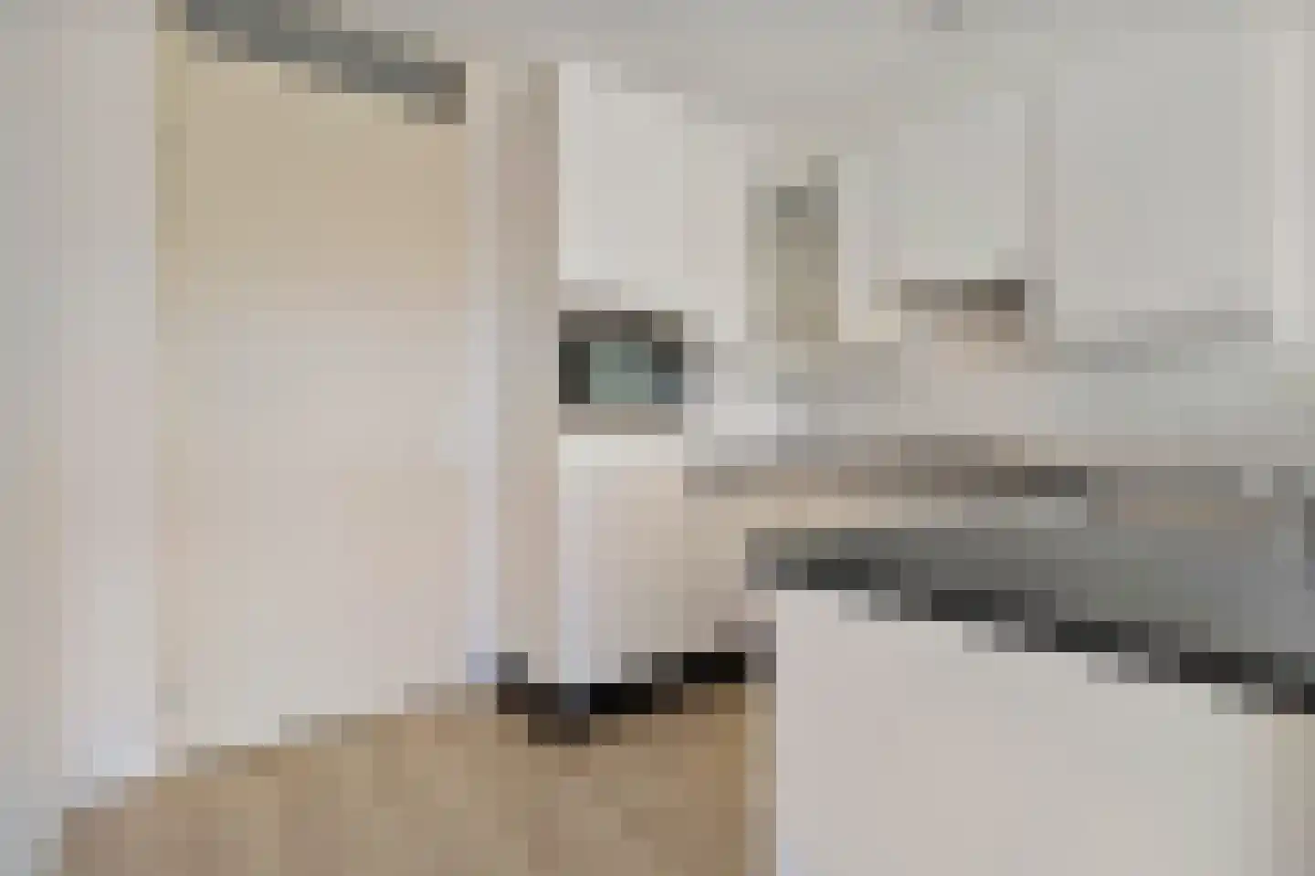 Onderste Scheydt 204 Landgraaf thumbnail 11