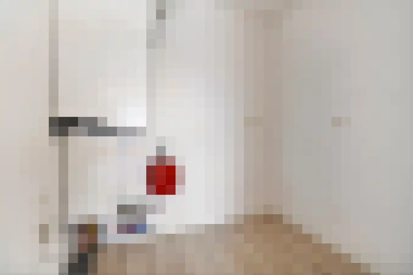 Onderste Scheydt 204 Landgraaf thumbnail 17