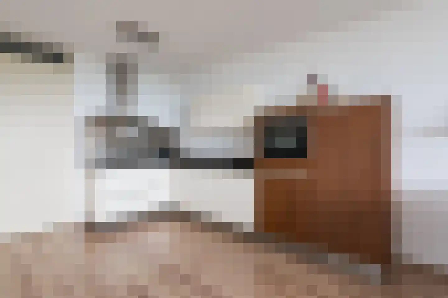 Onderste Scheydt 228 Landgraaf thumbnail 8