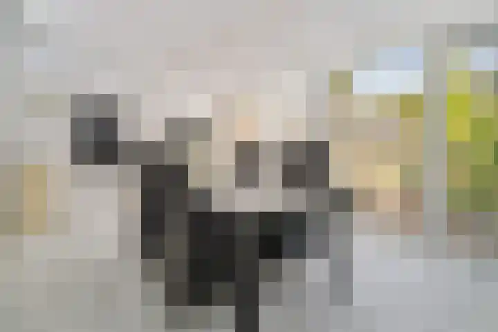 Onderste Wehr 53 Hoensbroek thumbnail 11
