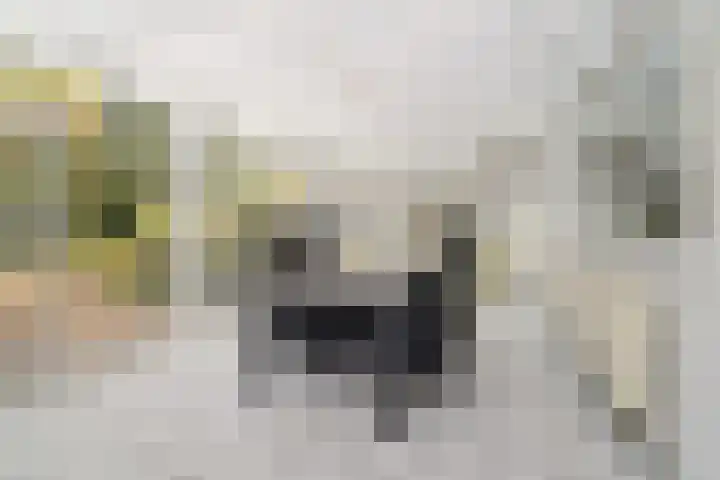 Onderste Wehr 53 Hoensbroek thumbnail 12