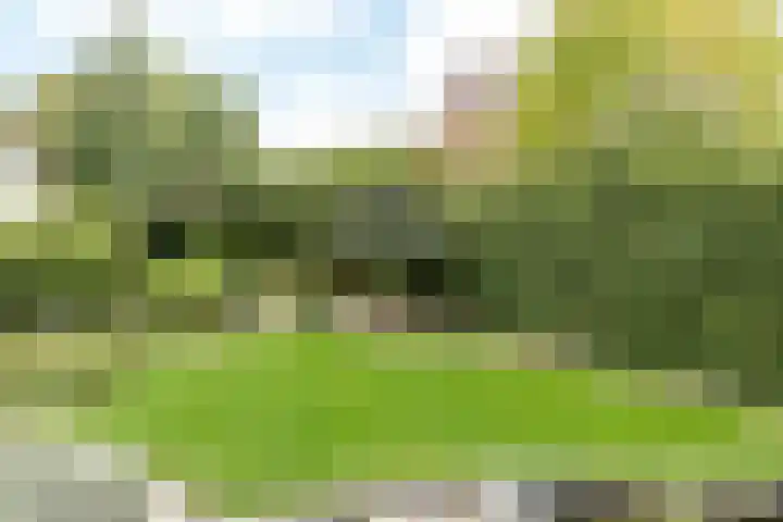 Onderstestraat 23 Valkenburg thumbnail 37