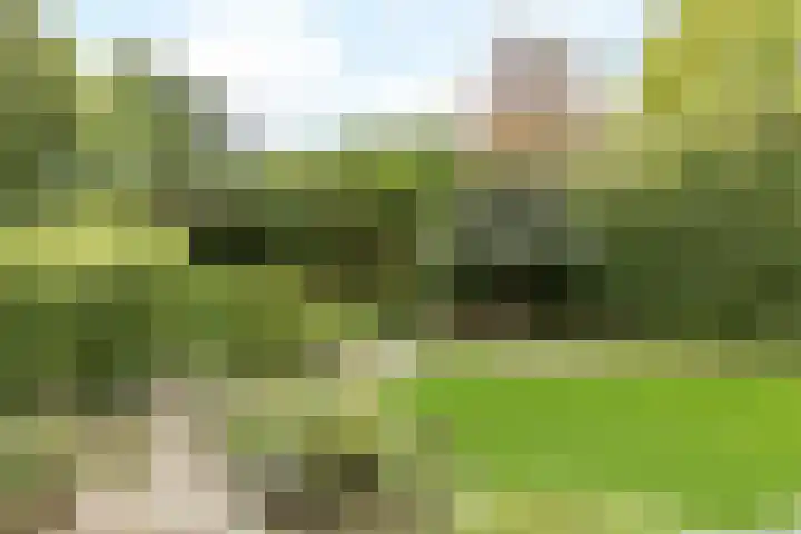 Onderstestraat 23 Valkenburg thumbnail 38