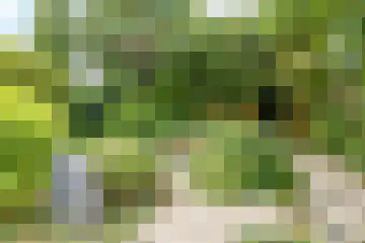 Onderstestraat 23 Valkenburg thumbnail 39