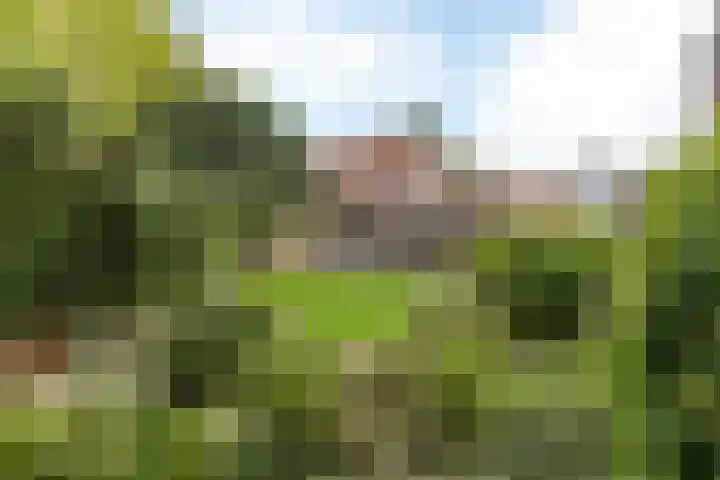 Onderstestraat 23 Valkenburg thumbnail 42