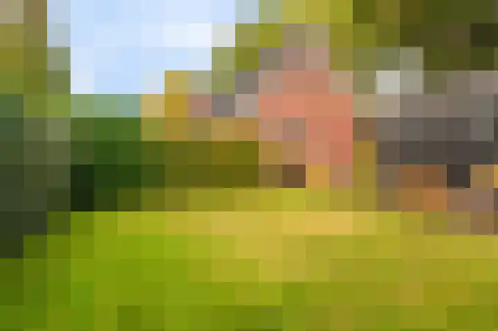 Ondersteveenweg 5 Mussel thumbnail 10