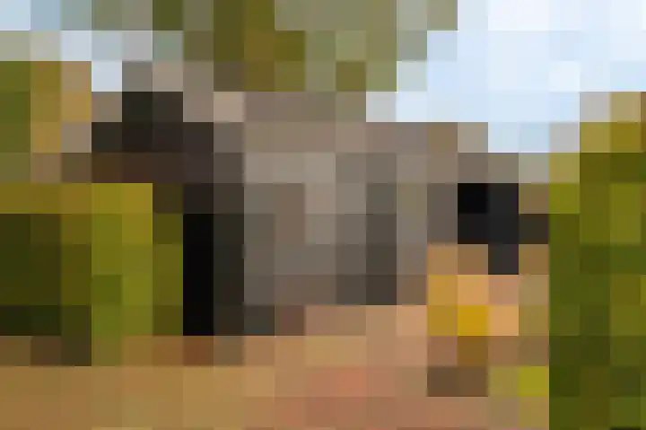Ondersteveenweg 5 Mussel thumbnail 11