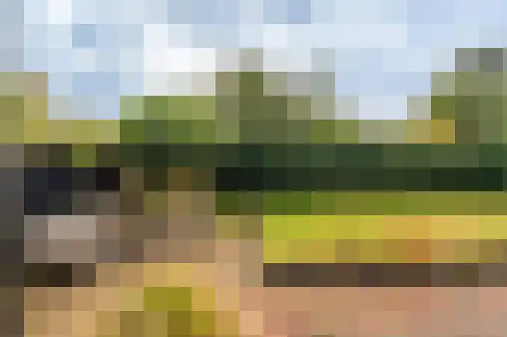 Ondersteveenweg 5 Mussel thumbnail 12