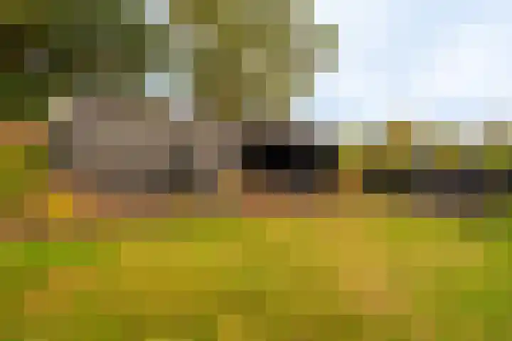 Ondersteveenweg 5 Mussel thumbnail 5