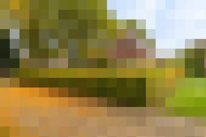Ondersteveenweg 5 Mussel thumbnail 7