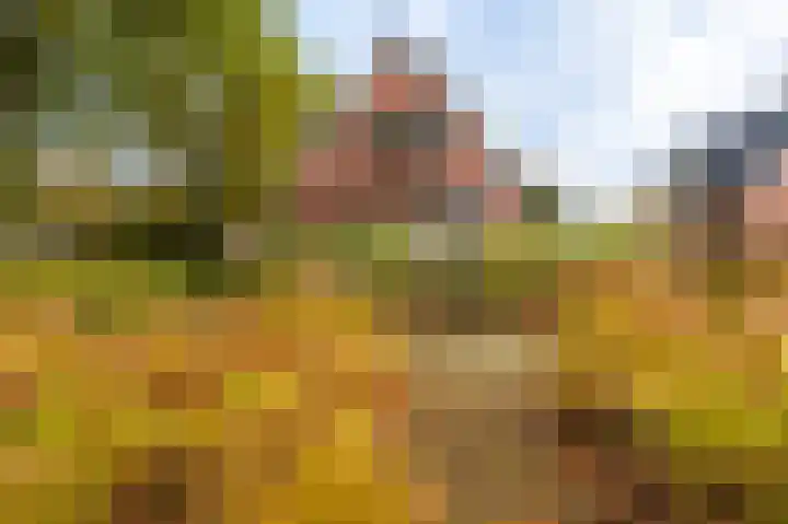 Ondersteveenweg 5 Mussel thumbnail 8