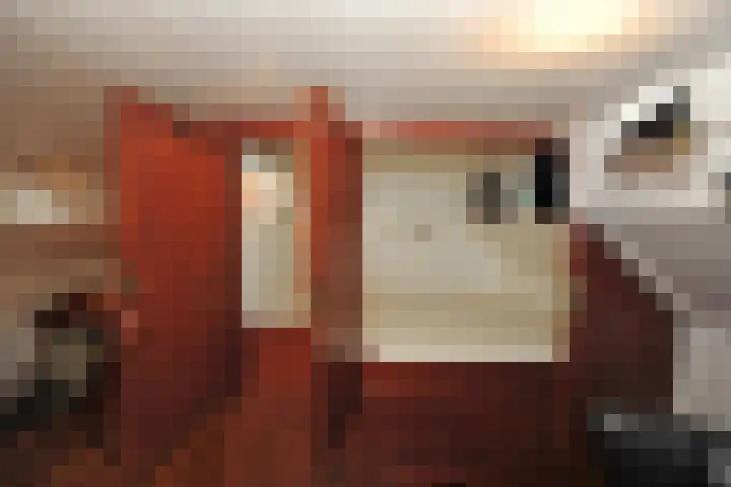 Ondervloed 1 Gorinchem thumbnail 12