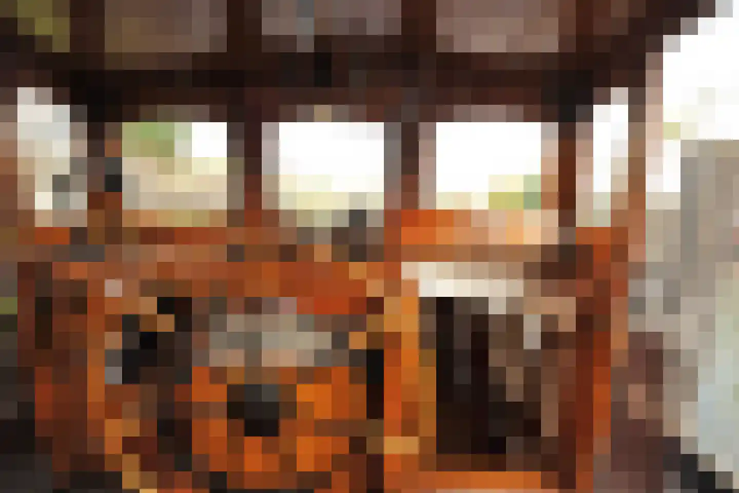 Ondervloed 1 Gorinchem thumbnail 28