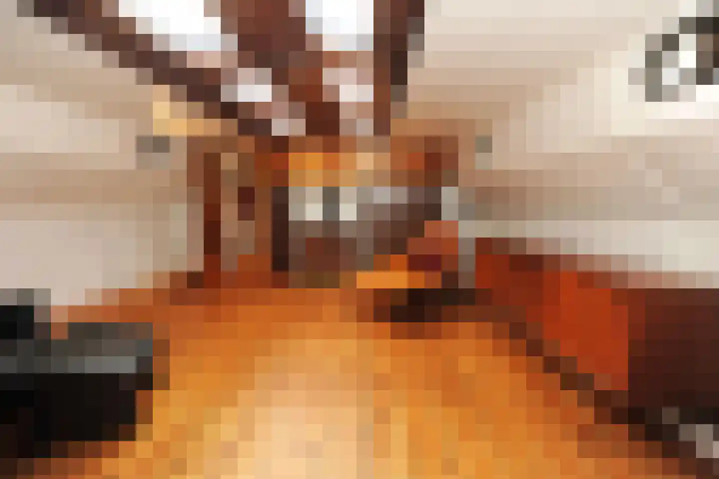 Ondervloed 1 Gorinchem thumbnail 9