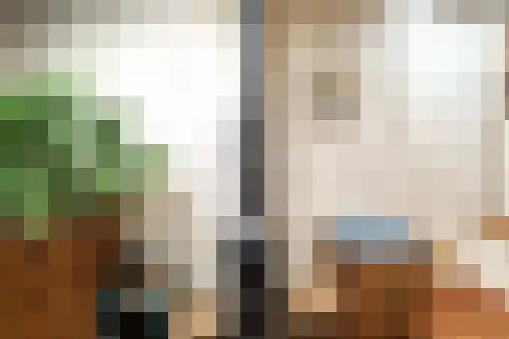 Ondervloed 5 Gorinchem thumbnail 12