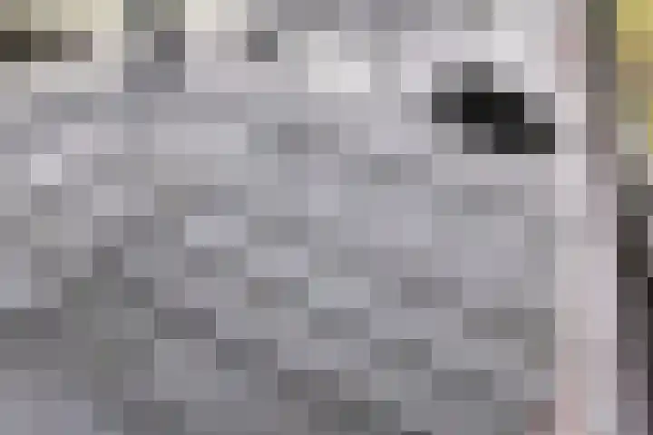 Ondervloed 5 Gorinchem thumbnail 7