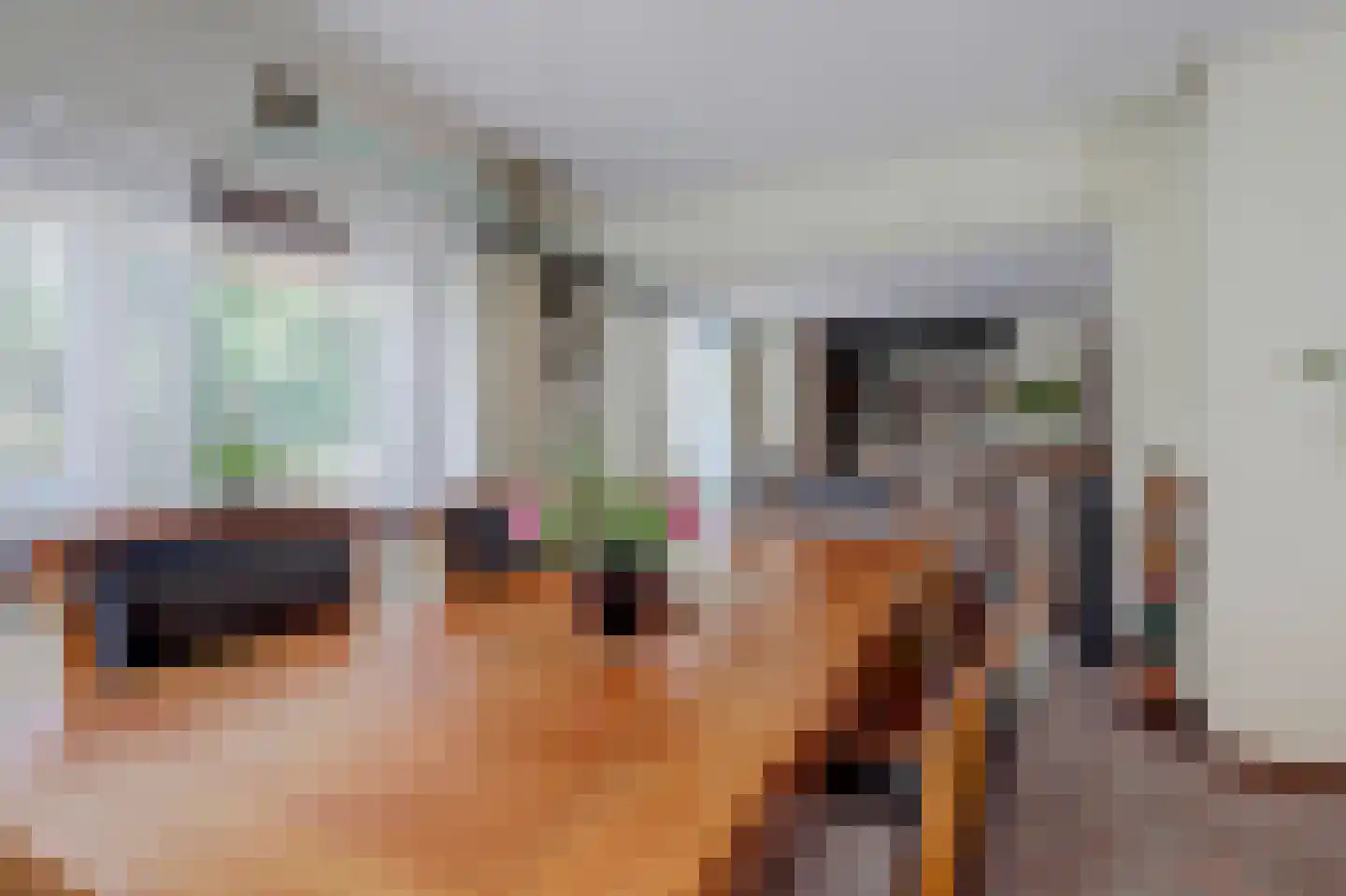 Onderwaard 6 a Ammerzoden thumbnail 10