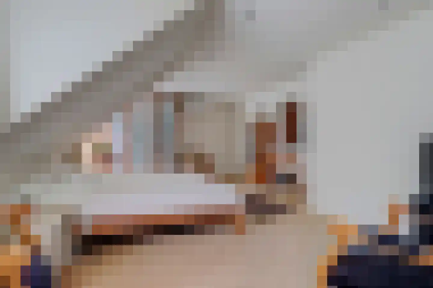 Onderwaard 6 a Ammerzoden thumbnail 26
