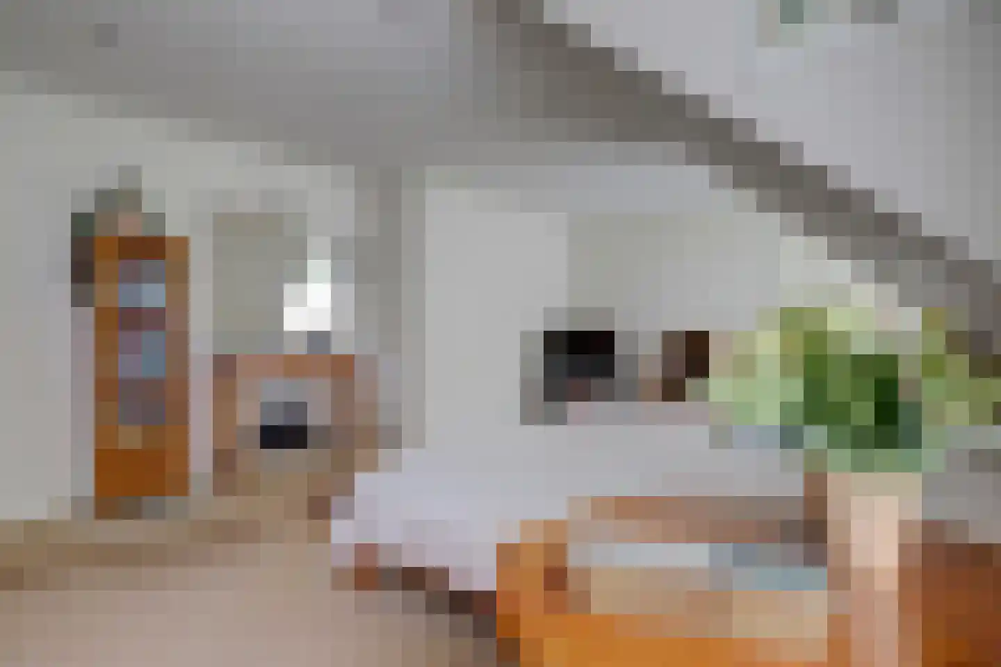 Onderwaard 6 a Ammerzoden thumbnail 28