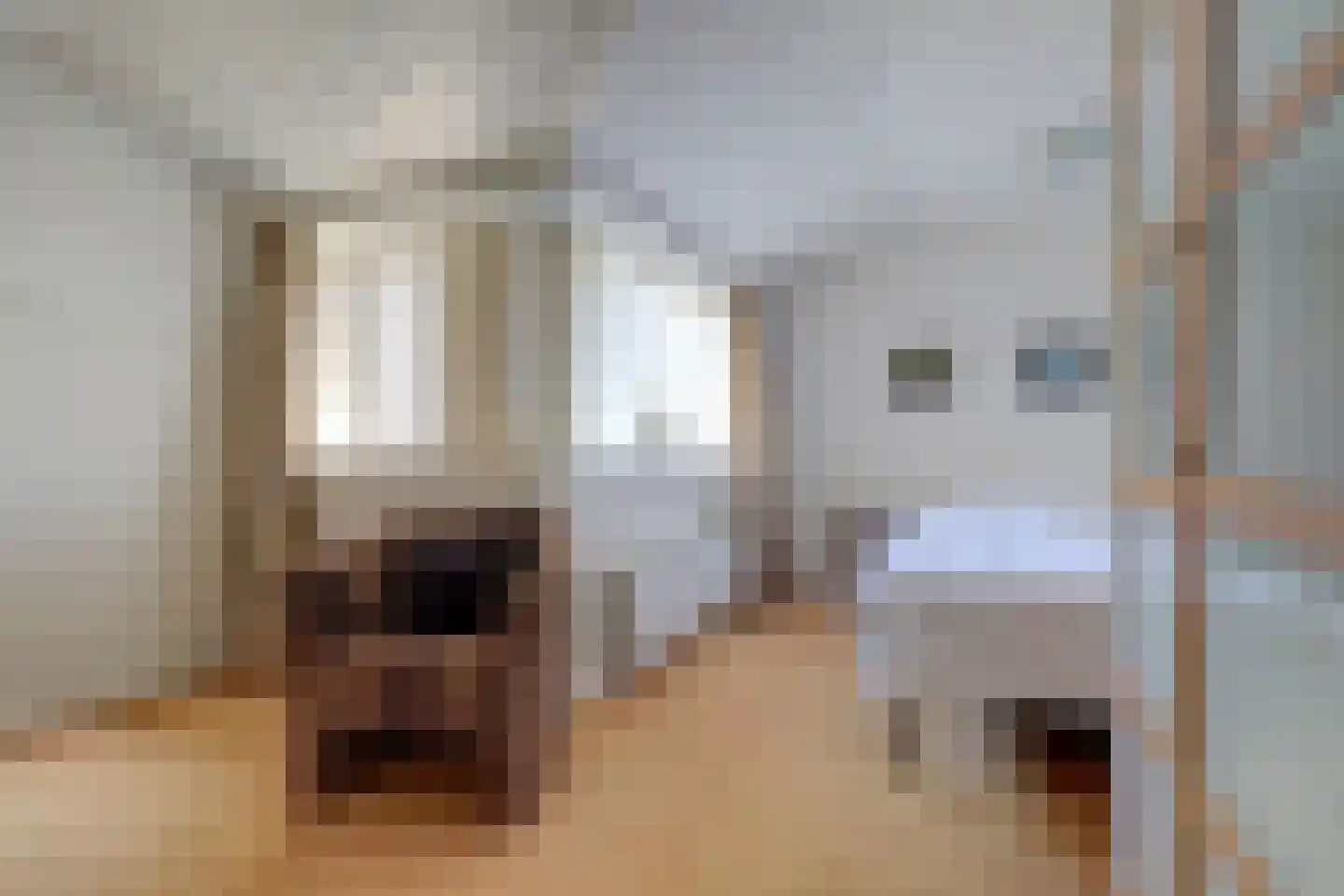 Onderwaard 6 a Ammerzoden thumbnail 29