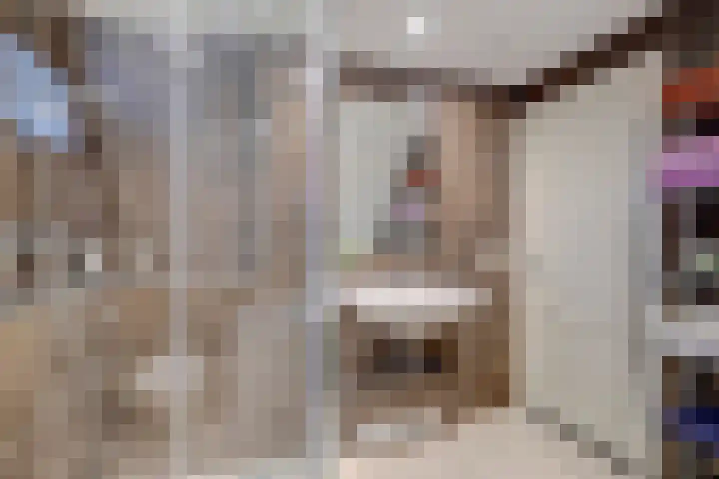 Onderwaard 6 a Ammerzoden thumbnail 33