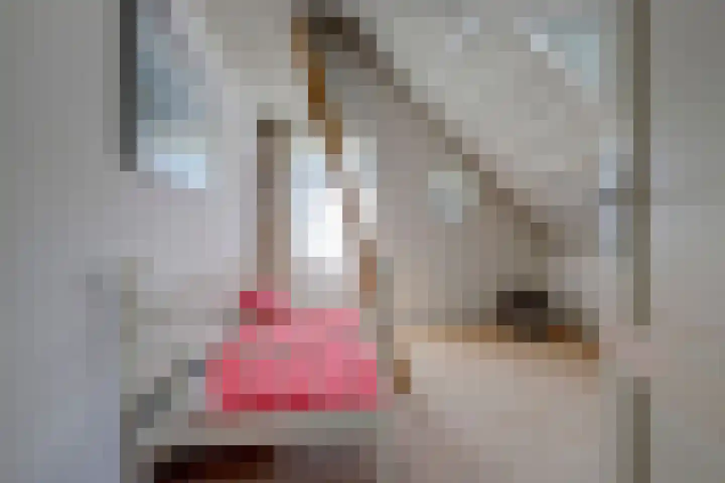 Onderwaard 6 a Ammerzoden thumbnail 36