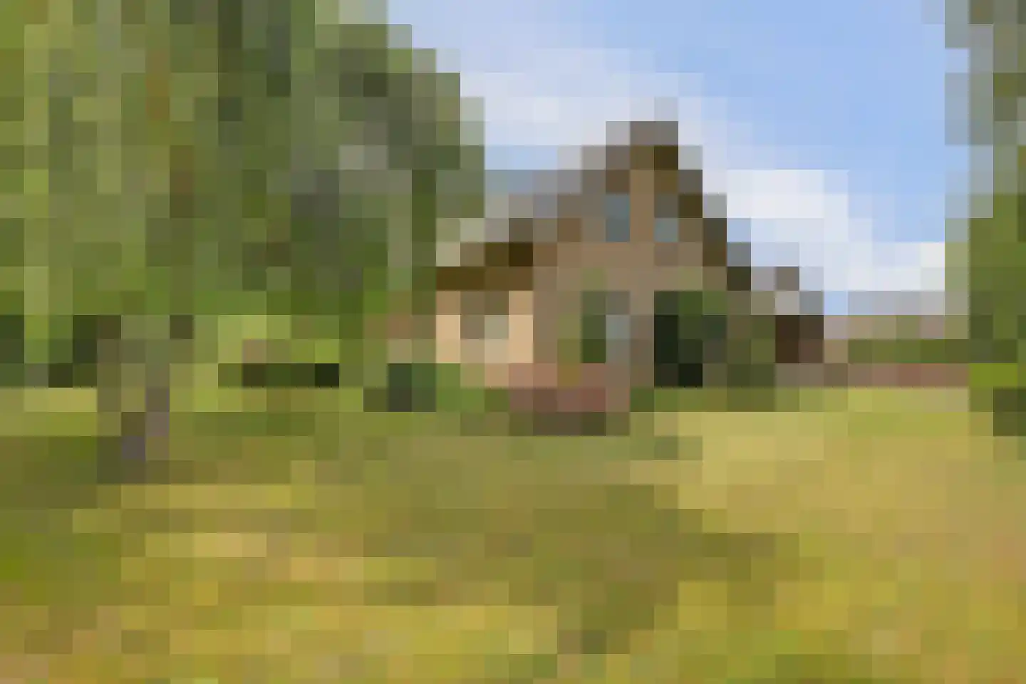 Onderwaard 6 a Ammerzoden thumbnail 52