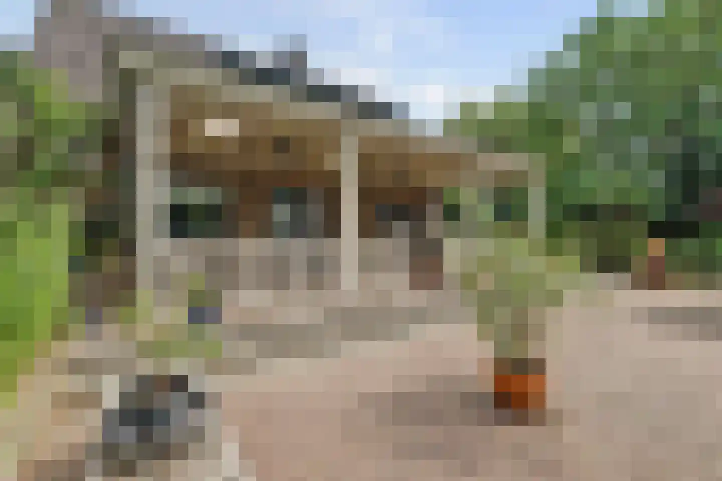 Onderwaard 6 a Ammerzoden thumbnail 57