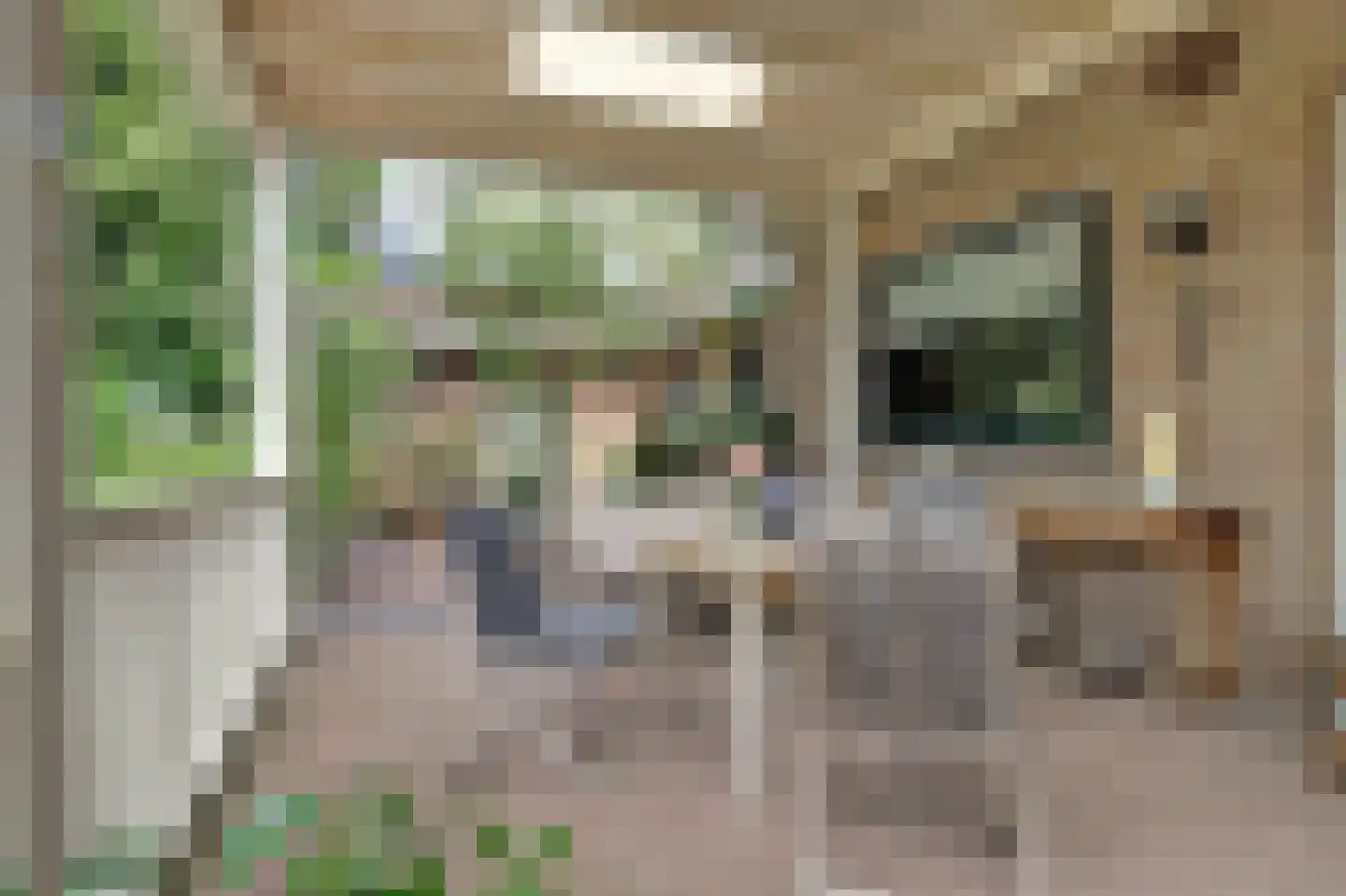 Onderwaard 6 a Ammerzoden thumbnail 60