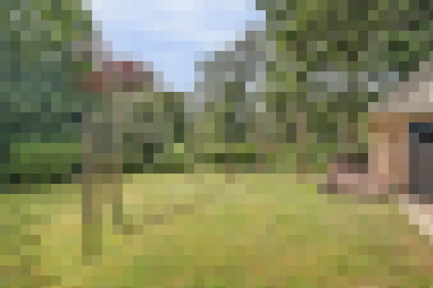 Onderwaard 6 a Ammerzoden thumbnail 62