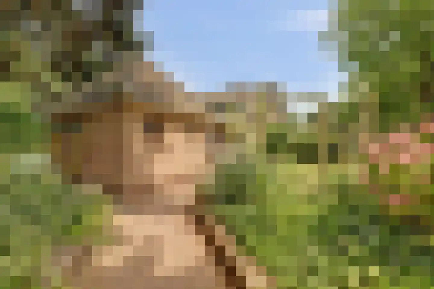 Onderwaard 6 a Ammerzoden thumbnail 72